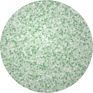 Detox – HydraGlow
